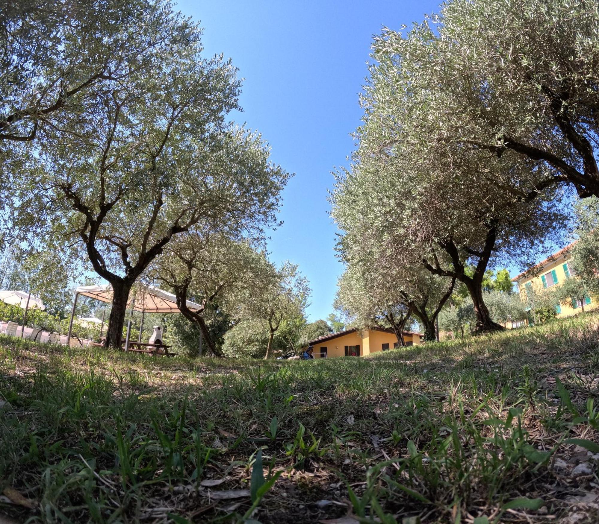 Agriturismo Gardenali Volta Mantovana Room photo