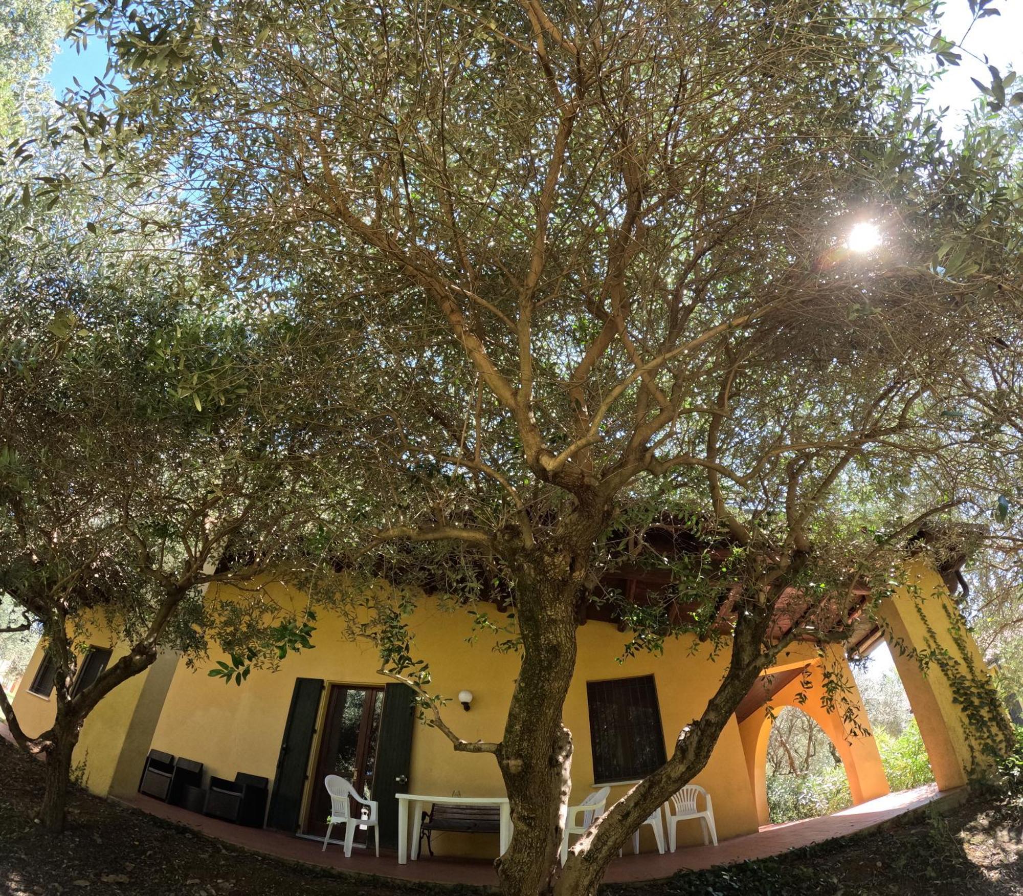 Agriturismo Gardenali Volta Mantovana Room photo